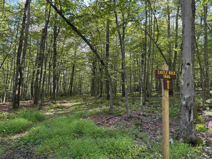 Lots 41 and 42 Day Lily Court, Terra Alta, WV 26764 - Image #3