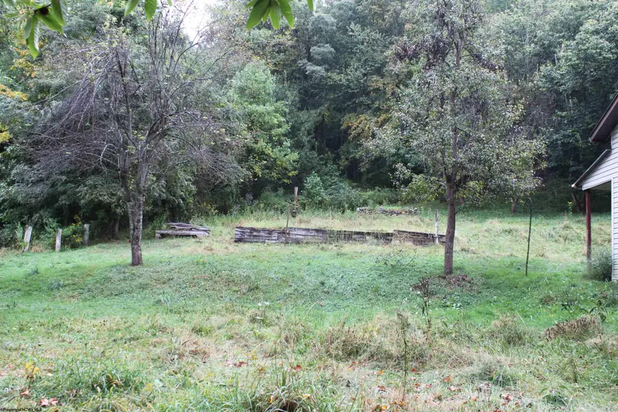 233 Kingfisher Road, Webster Springs, WV 26288 - Image #2