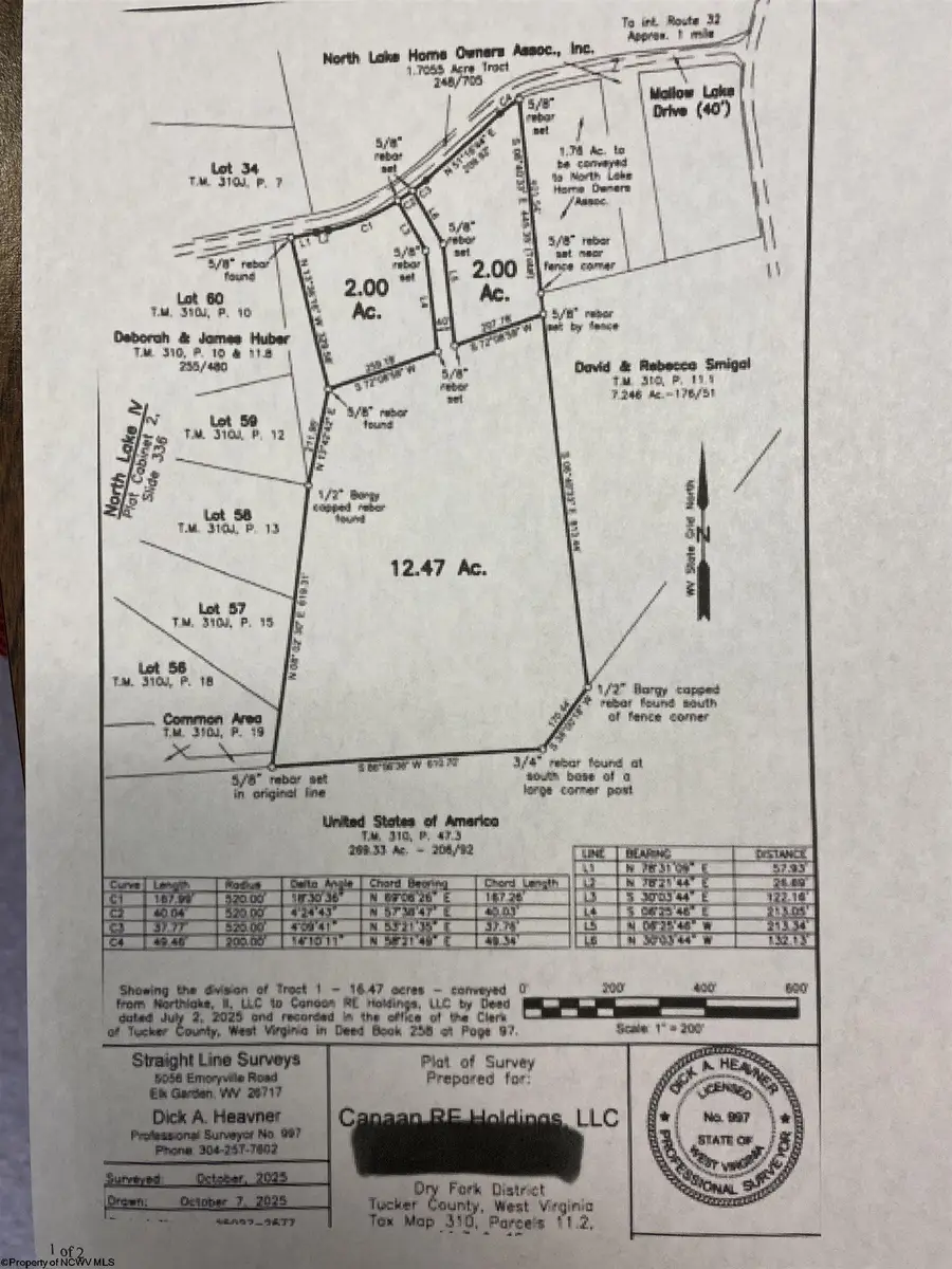 Tract II Mallow Lake Drive, Davis, WV 26260 - Image #2