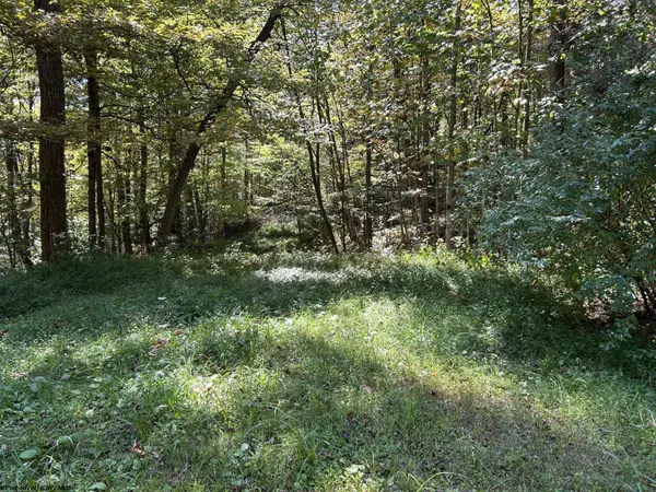 Lot 4 Possum Hollow Road, Terra Alta, WV 26764