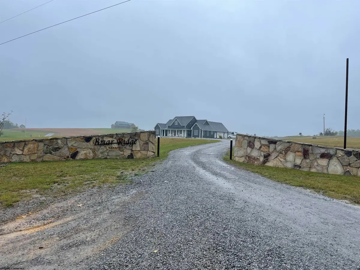 TBD Briar Ridge Lane, Ellamore, WV 26267 - Image #1