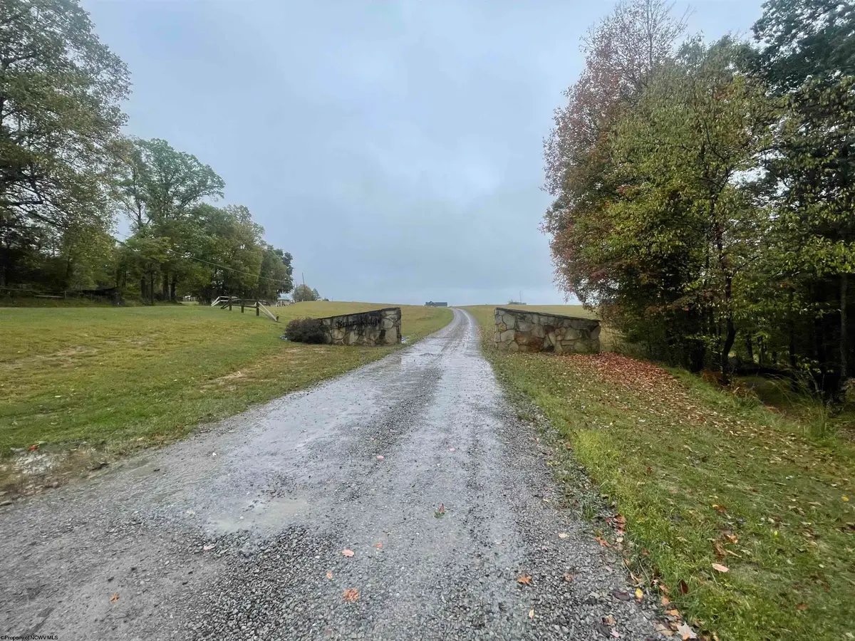 000 Briar Ridge Lane, Ellamore, WV 26267 - Image #1