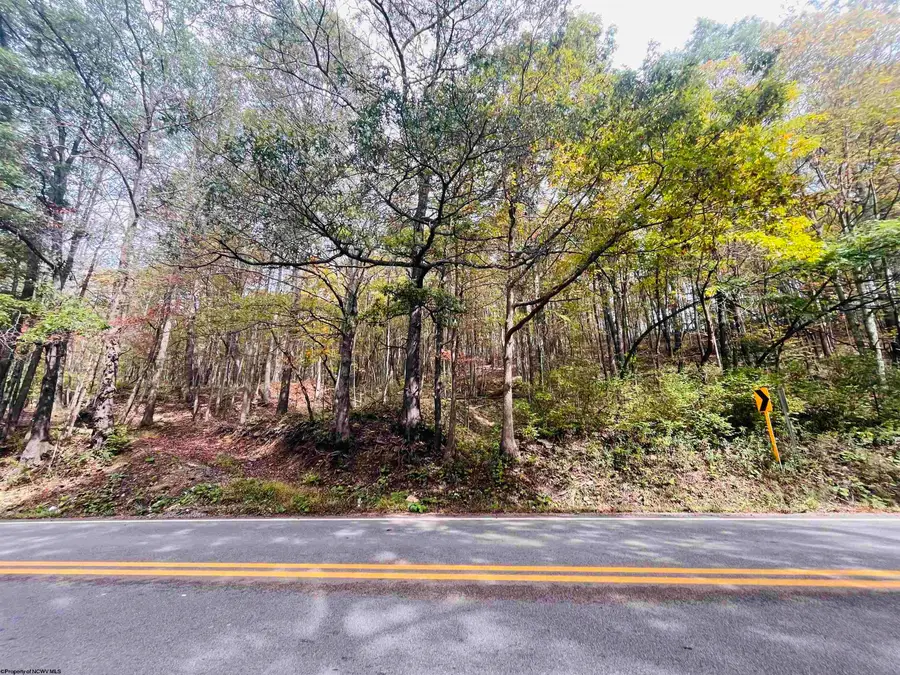 33213 Veterans Memorial Highway, Terra Alta, WV 26764 - Image #3