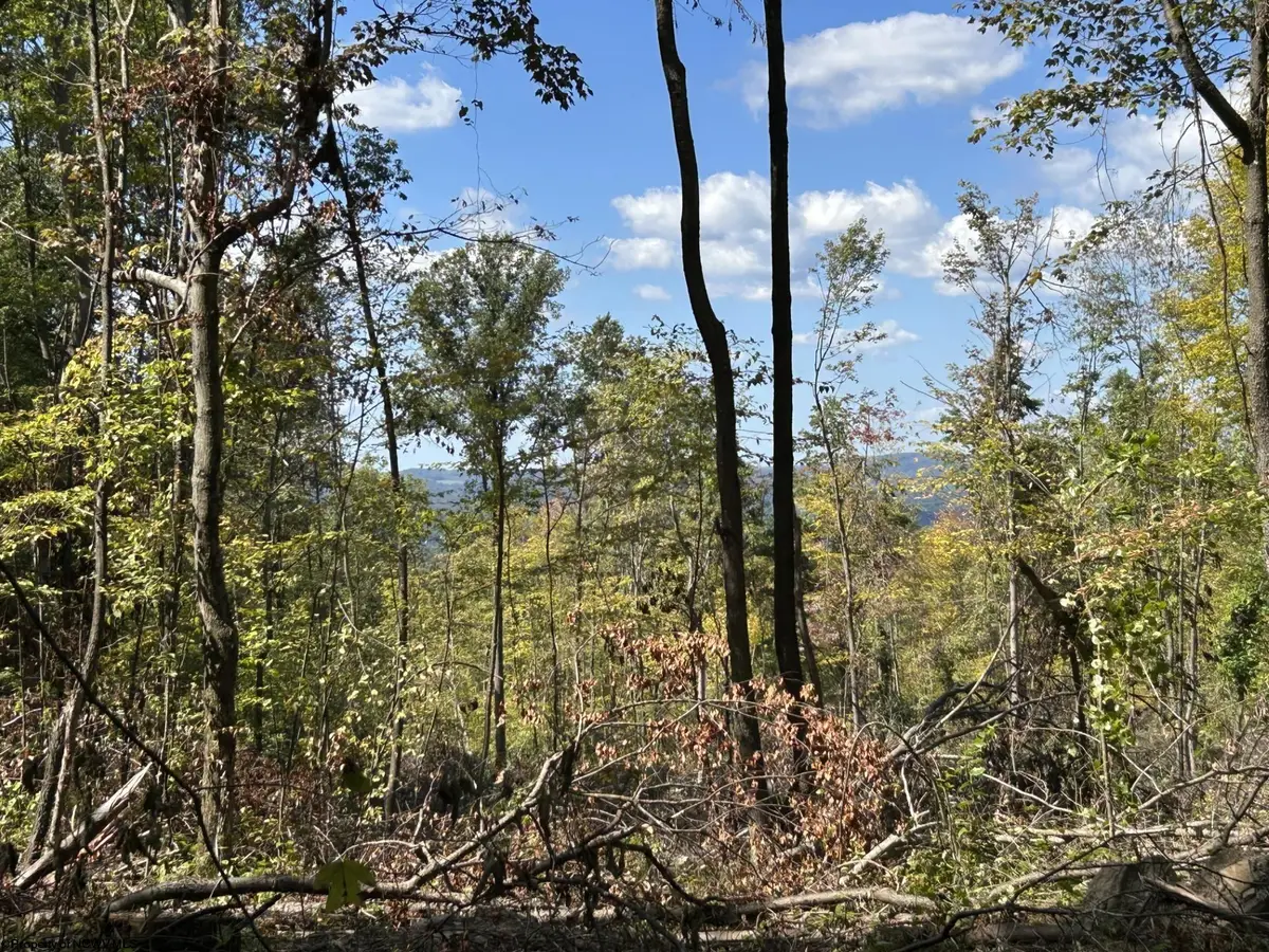 Lot 1 Crane School Road, Terra Alta, WV 26764 - Image #1