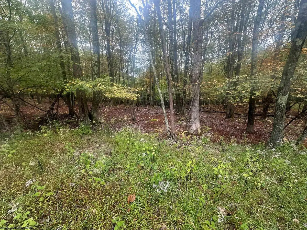 Lots 27 & 28 Alpine Drive, Terra Alta, WV 26764 - Image #1