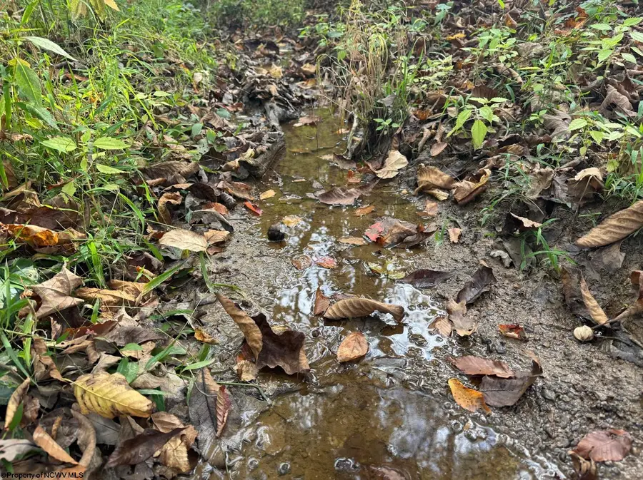 Lot 1 Morgantown Pike, Belington, WV 26250 - Image #3