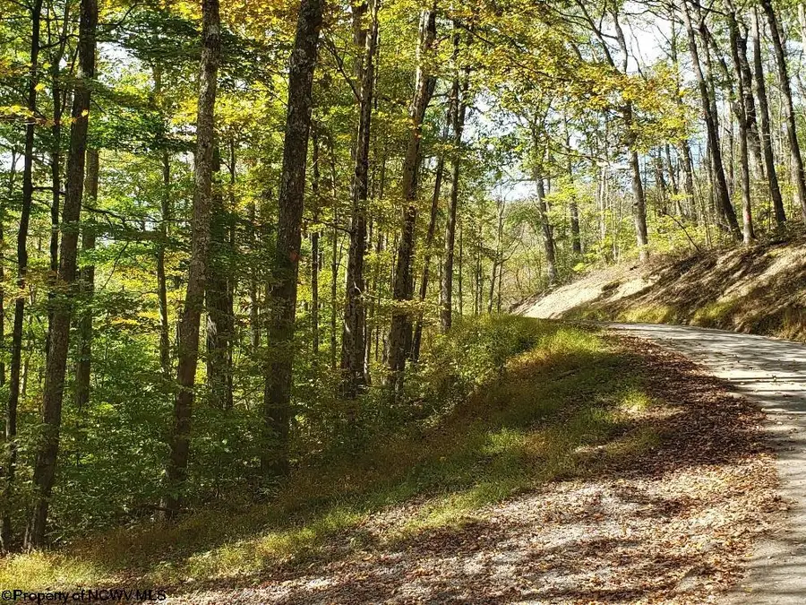 100 Steve Rosier Road, Parsons, WV 26287 - Image #2
