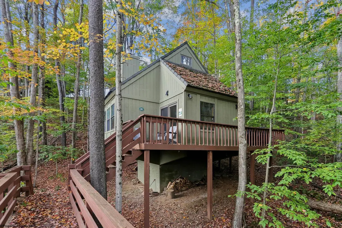 30 Yogi Court, Davis, WV 26260 - Image #1