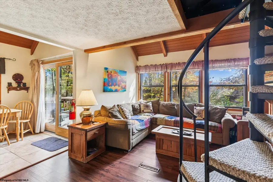 30 Yogi Court, Davis, WV 26260 - Image #3