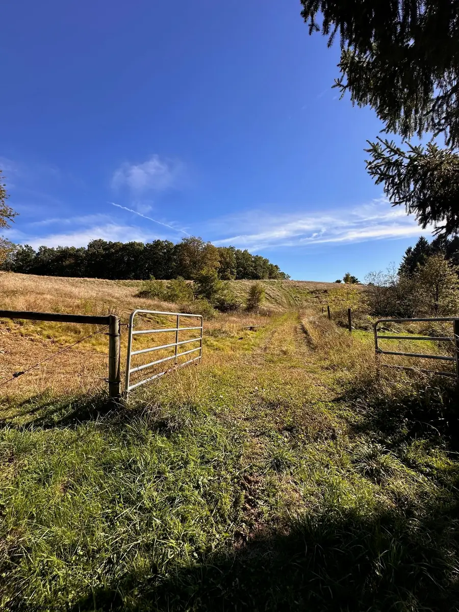 3785 Grafton Road, Morgantown, WV 26508-359 - Image #2