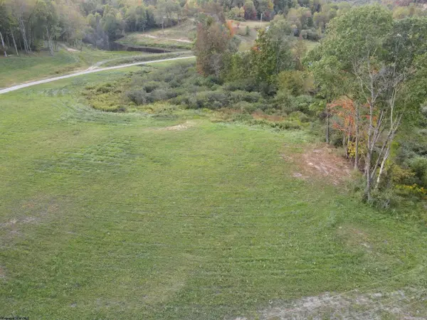 Lot 1 Island Road, Junior, WV 26275