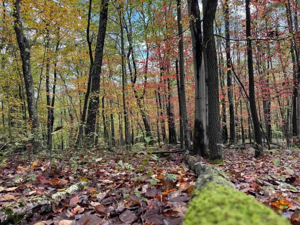 Lot 175 Aster Drive, Terra Alta, WV 26764