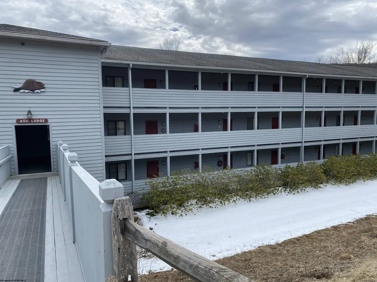 31 Ash Lodge Court, Davis, WV 26260 - Image #1