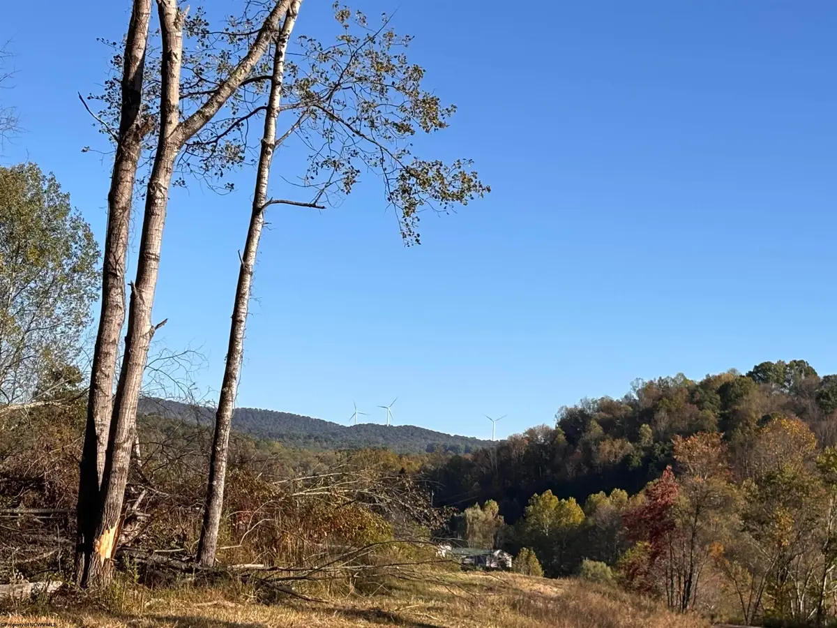 Lot 10 Island Road, Junior, WV 26275 - Image #1