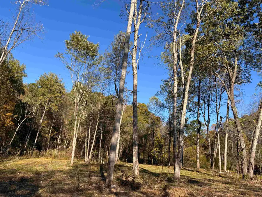 Lot 10 Island Road, Junior, WV 26275 - Image #2