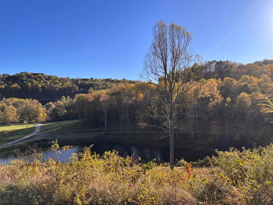 Lot 10 Island Road, Junior, WV 26275 - Image #3