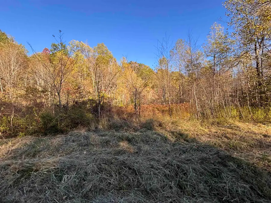 Lot 13 Island Road, Junior, WV 26275 - Image #3