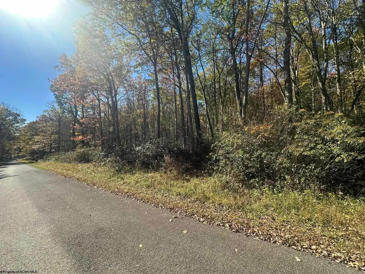 653 Pine Drive, Terra Alta, WV 26764 - Image #1