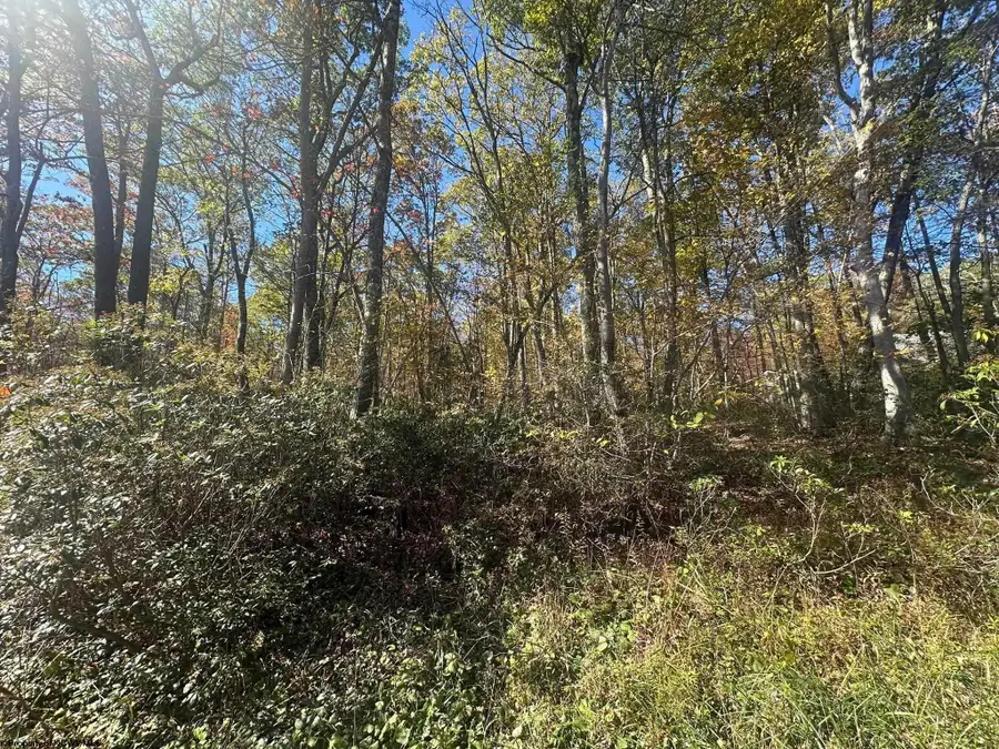 653 Pine Drive, Terra Alta, WV 26764 - Image #3