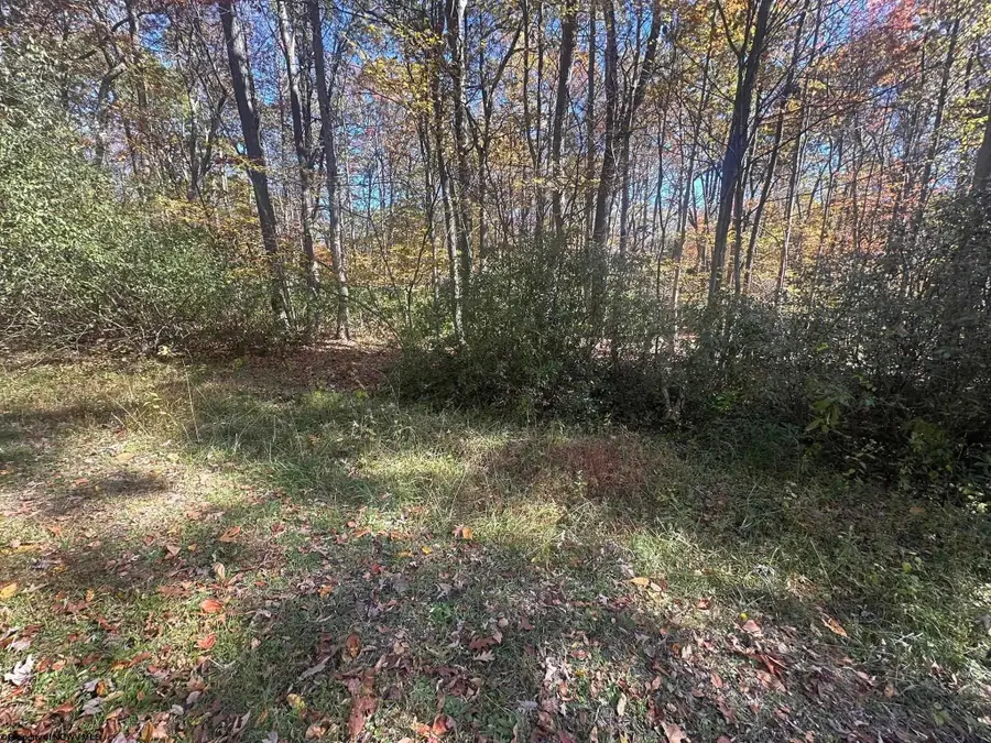 TBD Redwood Drive, Terra Alta, WV 26764 - Image #2