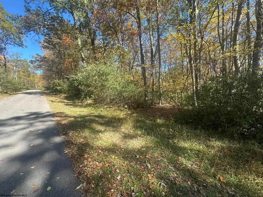 TBD Redwood Drive, Terra Alta, WV 26764 - Image #3