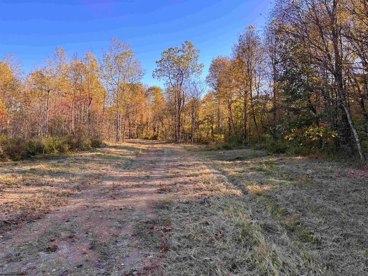 Lot 15 Island Road, Junior, WV 26275 - Image #1