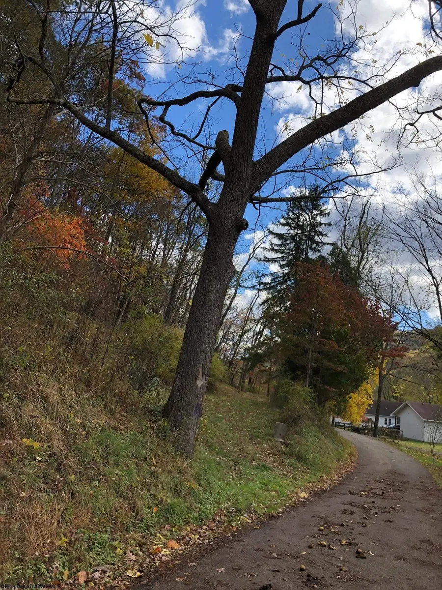 TBD Jones Lane Road, Parsons, WV 26287 - Image #3