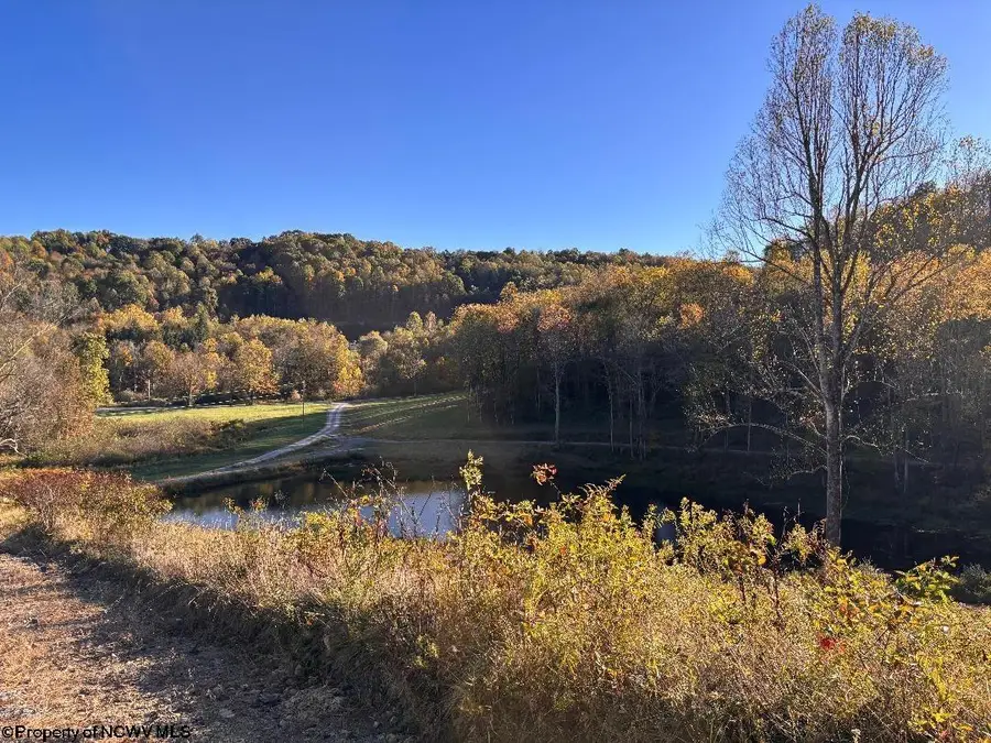 LOT 22 Island Road, Junior, WV 26275 - Image #2