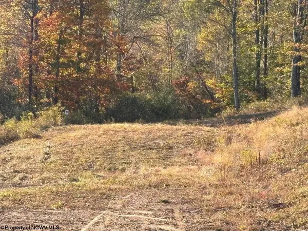 LOT 23 Island Road, Junior, WV 26275