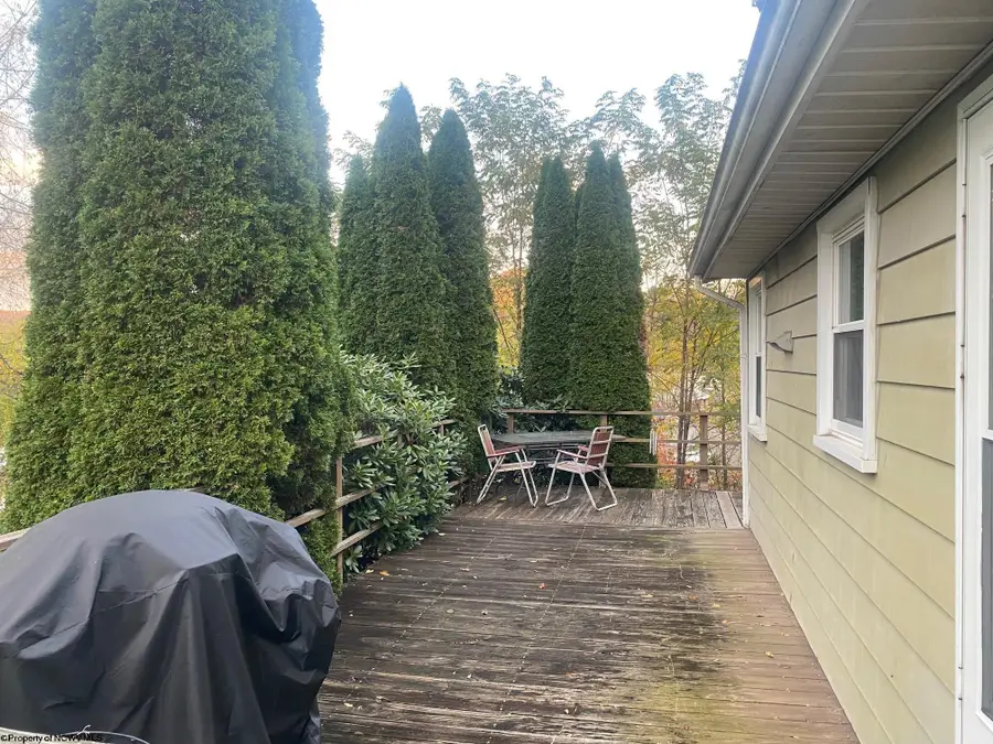 152 Spruce Street, Parsons, WV 26287 - Image #3