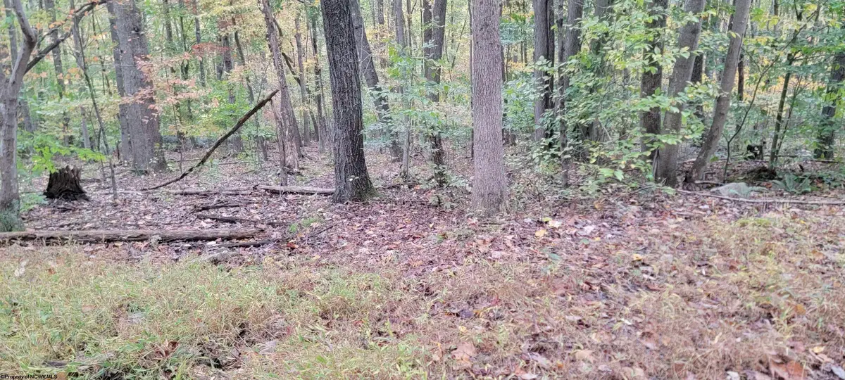 TBD Pine Ridge Road, Morgantown, WV 26508 - Image #1