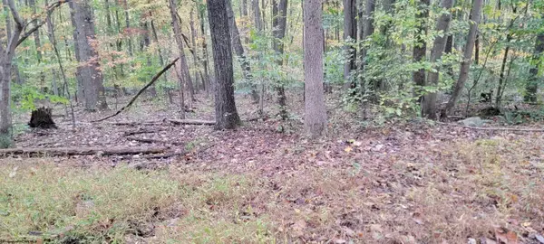 TBD Pine Ridge Road, Morgantown, WV 26508