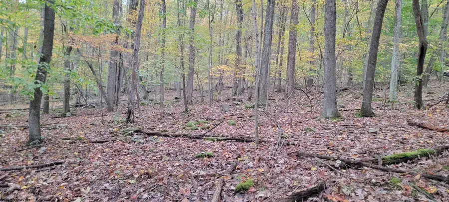 TBD Pine Ridge Road, Morgantown, WV 26508 - Image #2
