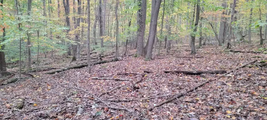 TBD Pine Ridge Road, Morgantown, WV 26508 - Image #3