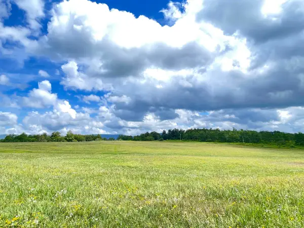 Lot A Cortland Road, Davis, WV 26260