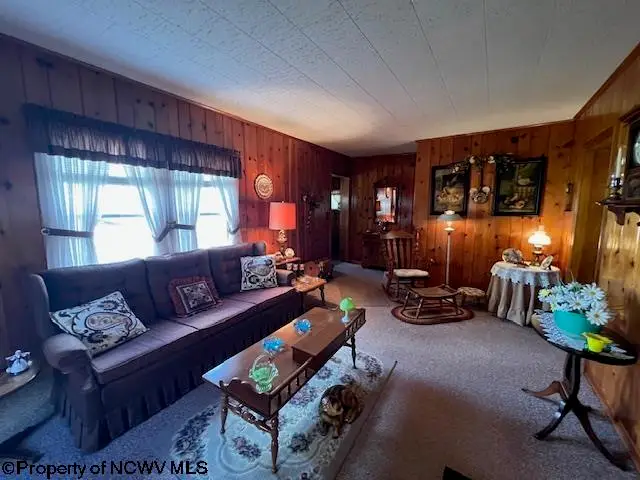 104 Short Street, Elkins, WV 26241-9999 - Image #3