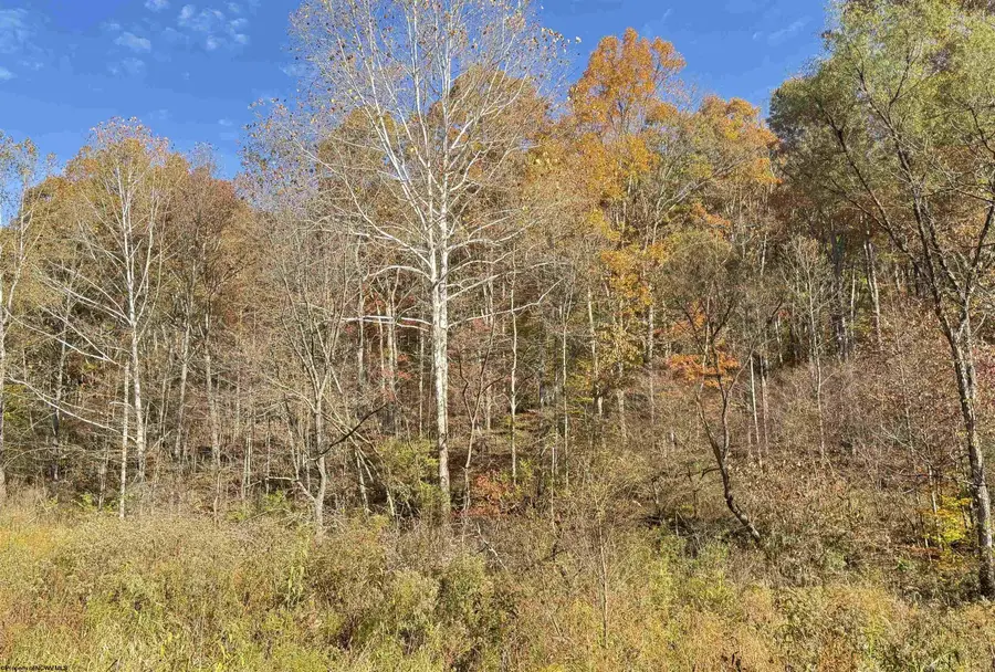TBD Tenmile Road, Wallace, WV 26448 - Image #3