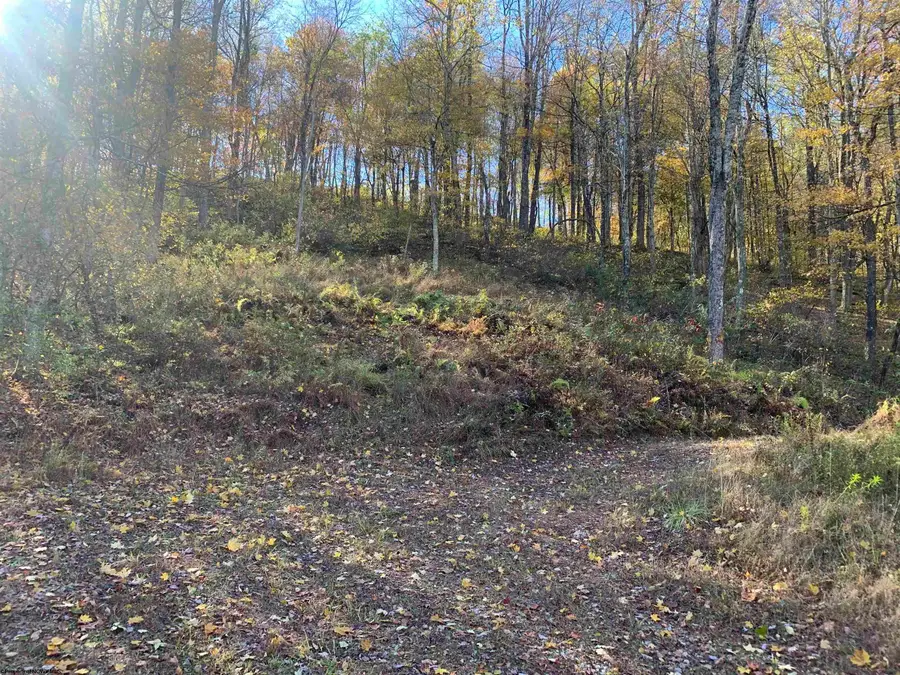 2208 Arden Road, Philippi, WV 26416 - Image #3