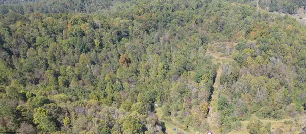 TBD FLAG RUN Road, Clarksburg, WV 26301-9999