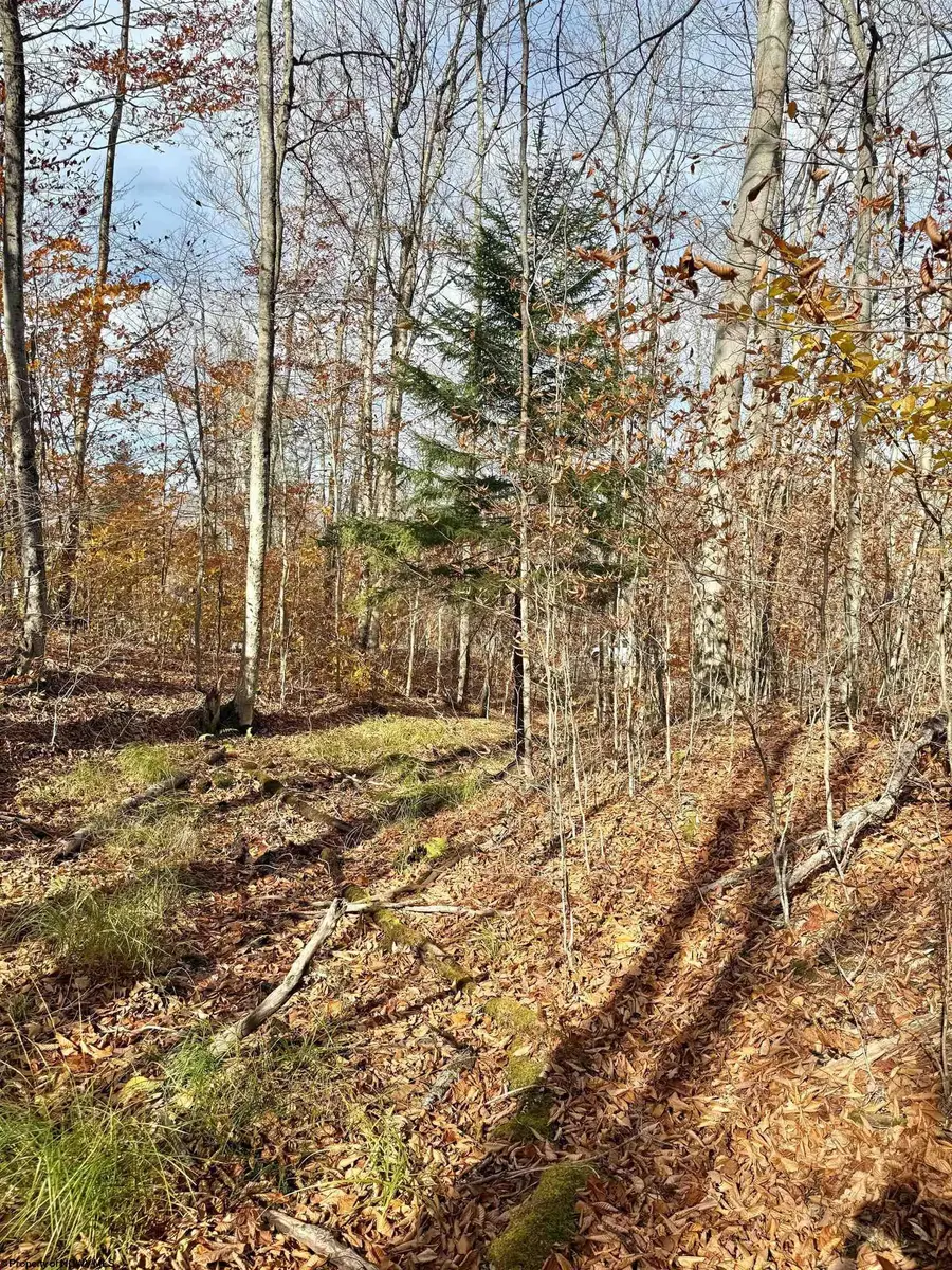 TBD Brookeside Road, Davis, WV 26260 - Image #3