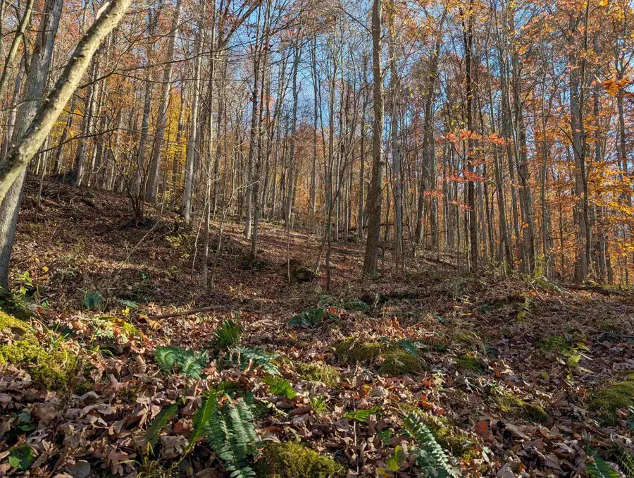 TBD Brush Run, Mannington, WV 26582 - Image #2