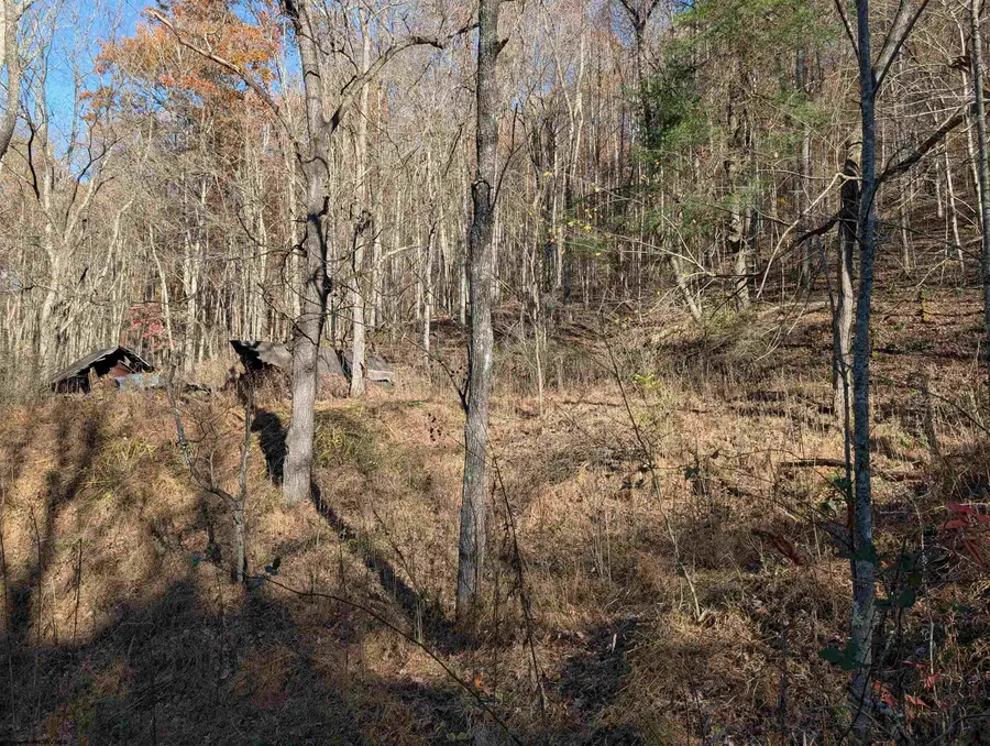 TBD Brush Run, Mannington, WV 26582 - Image #3