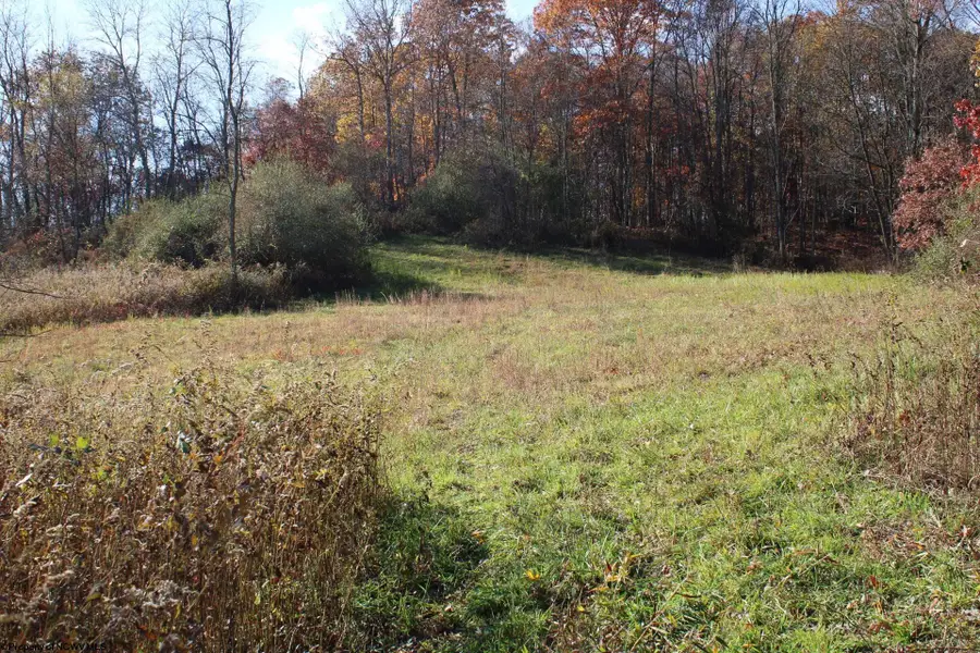 Lot 11 Sand Bank Heights Road, Masontown, WV 26542 - Image #3