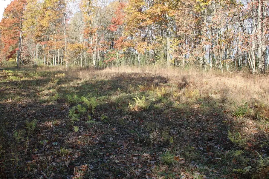 Lot 6 Cascade Ridge, Masontown, WV 26542 - Image #3