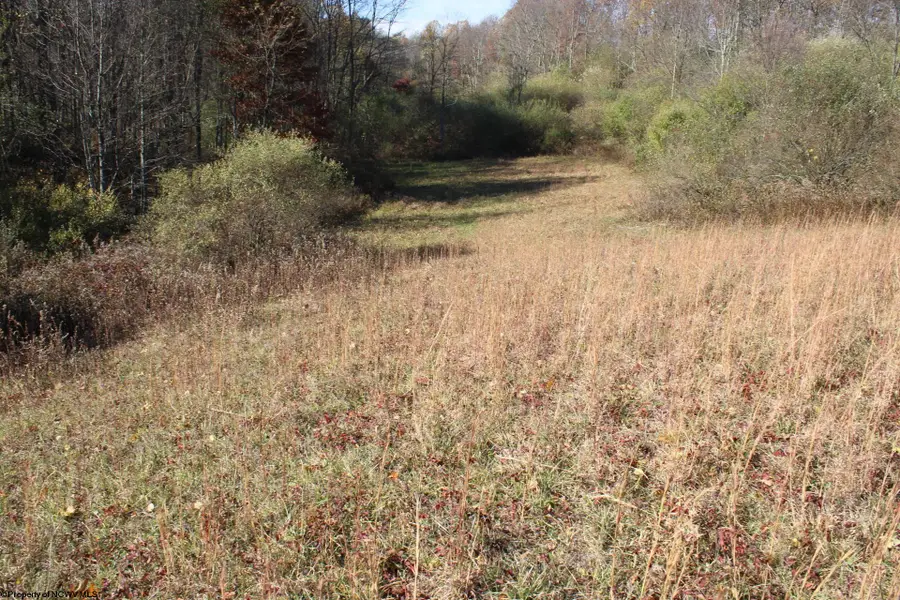 Lot 8 Cascade Ridge, Masontown, WV 26542 - Image #2