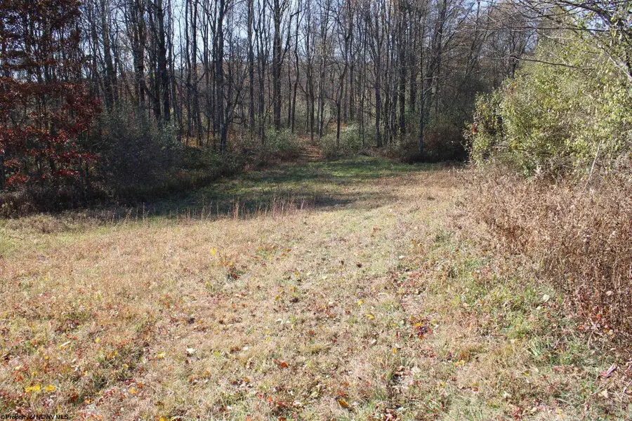 Lot 8 Cascade Ridge, Masontown, WV 26542 - Image #3