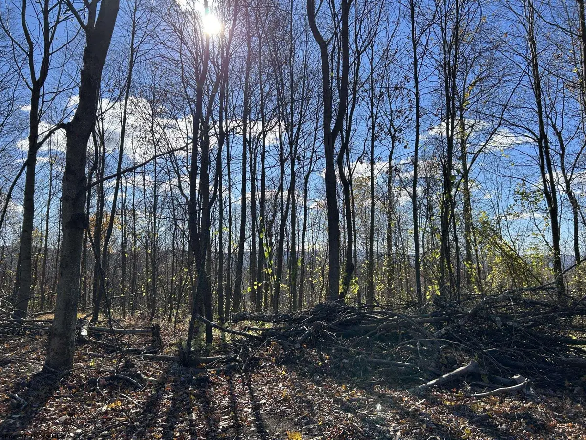 TBD Spruce Run Road, Terra Alta, WV 26764 - Image #1