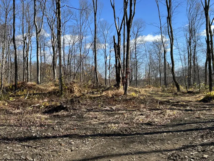 TBD Spruce Run Road, Terra Alta, WV 26764 - Image #2