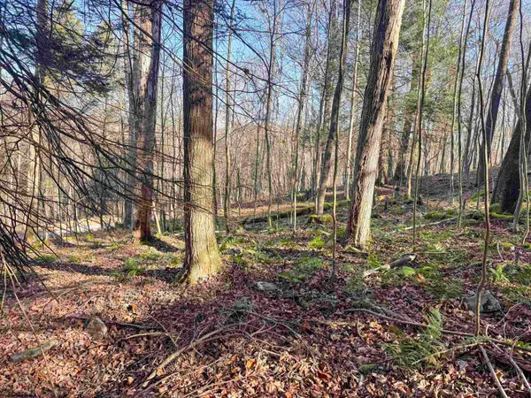 Lot 12 Whitewater Parkway, Bruceton Mills, WV 26525