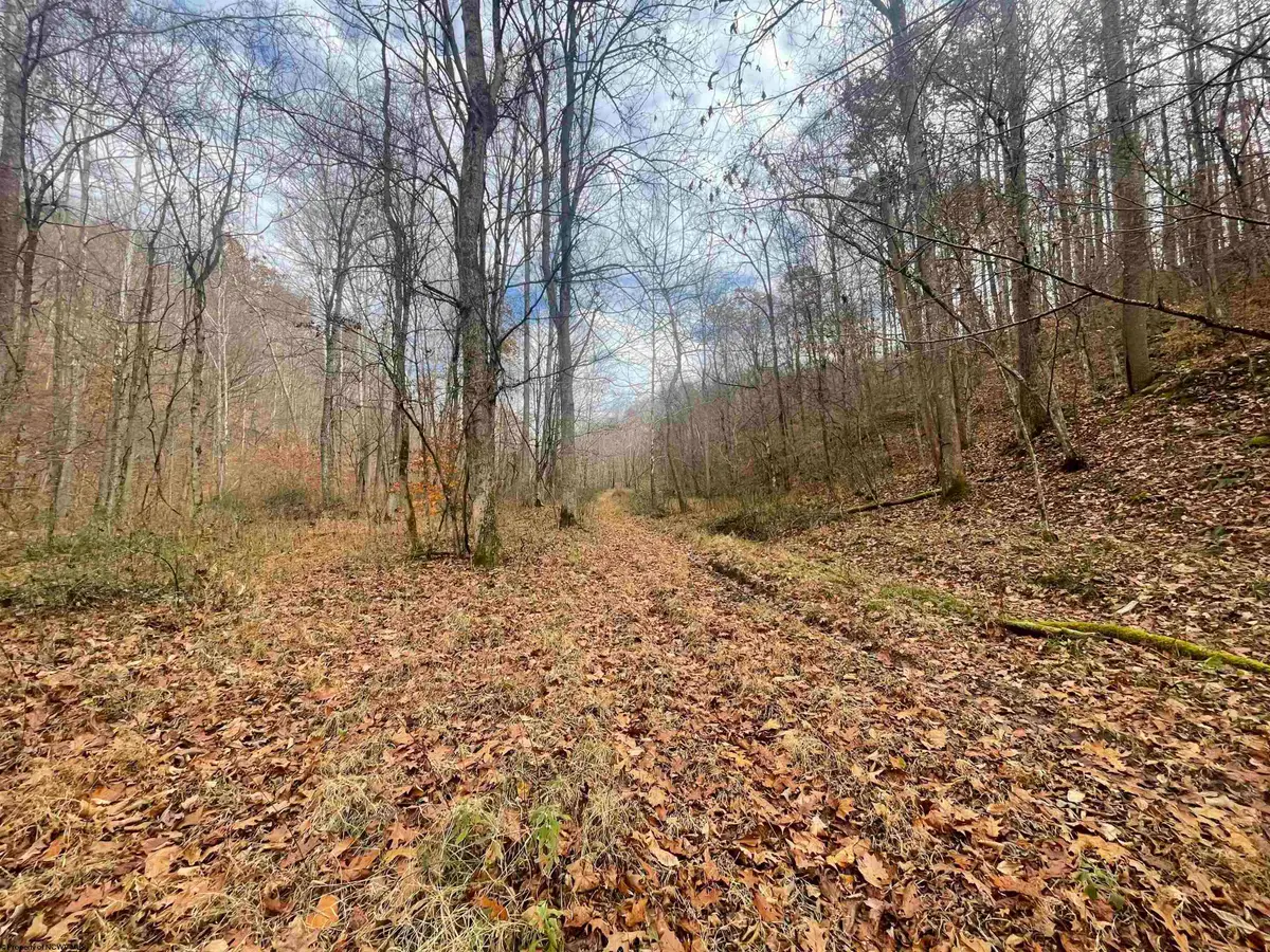 TBD Sand Fork Road, Walkersville, WV 26447 - Image #1
